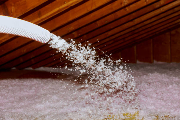 Best Commercial Insulation in Rockledge, FL